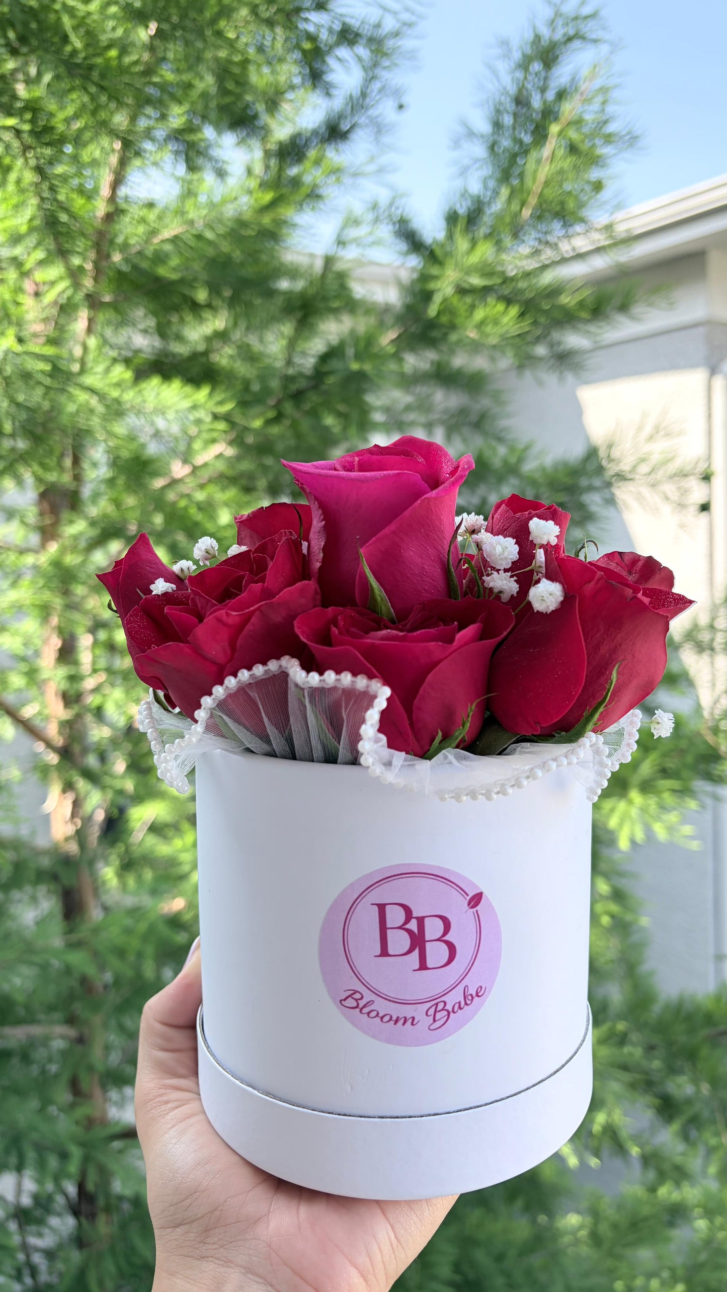🌹Caja de Rosas BB💝